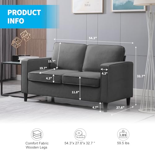 Loveseat Sofa Small Love Seat Couches for Small Spaces,54