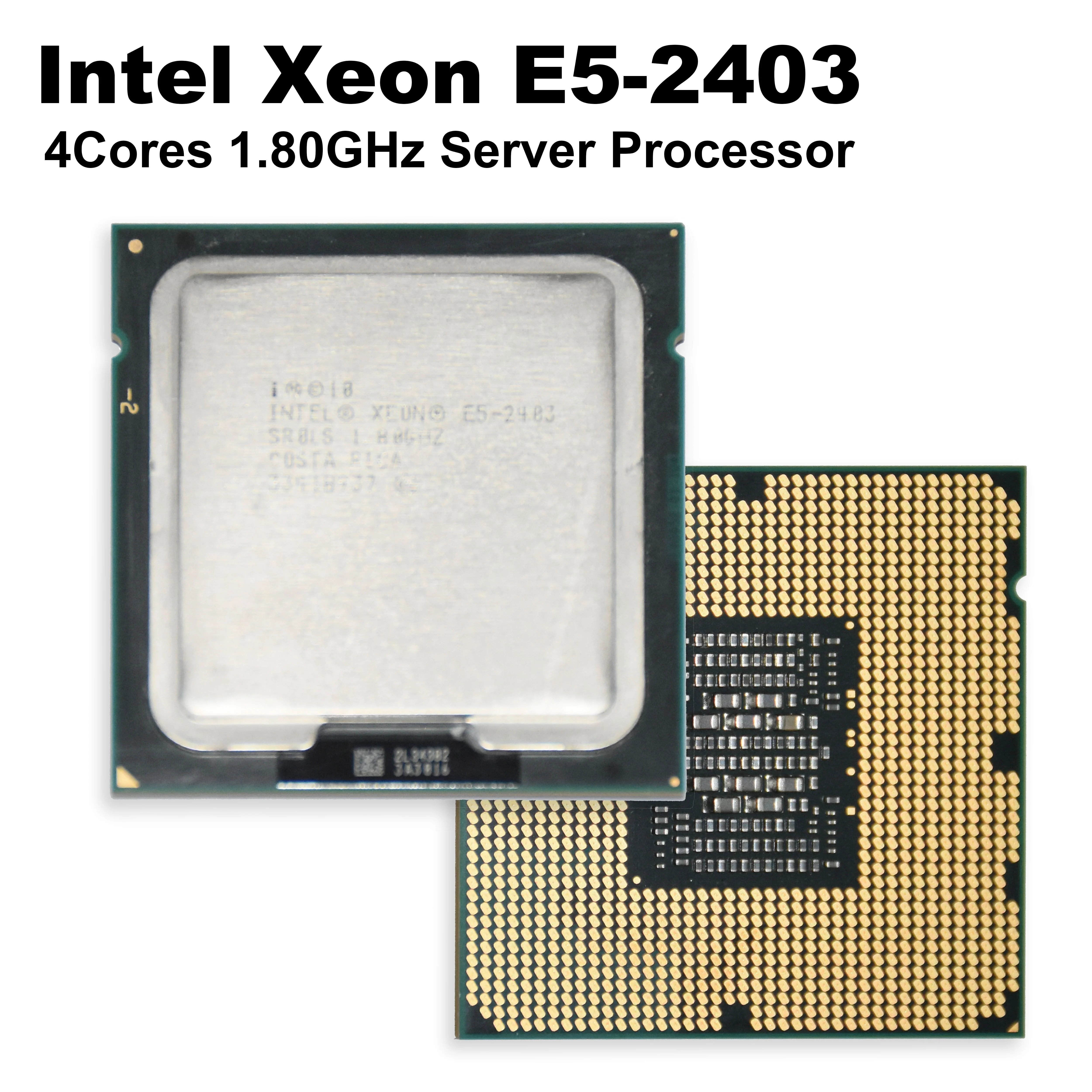 Intel Xeon E5-2403 1.8 GHz Processor BX80621E52403