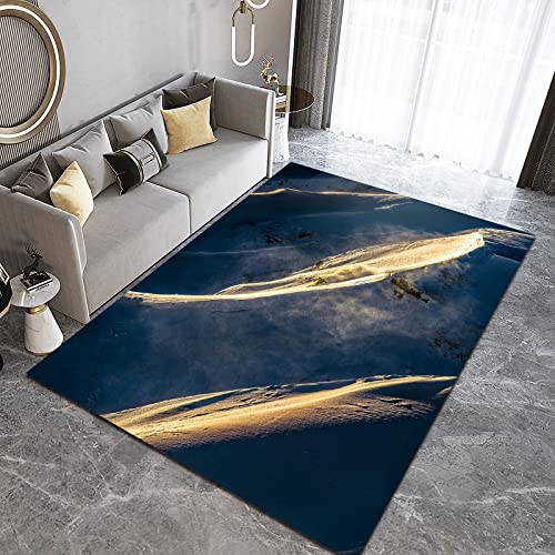 Purple Gradient Area Rugs, Gold Fashion Washable Rug, Decorative Rug Machine Washable Non Slip for Living Room Bedroom Dining Home Office-3ft×5ft