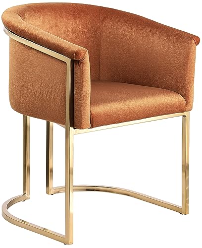 Meridian Furniture Tierra Collection Modern | Contemporary Upholstered Dining Chair with Luxurious Velvet, Brushed Brass Finish, Iron Metal Frame, 24.5
