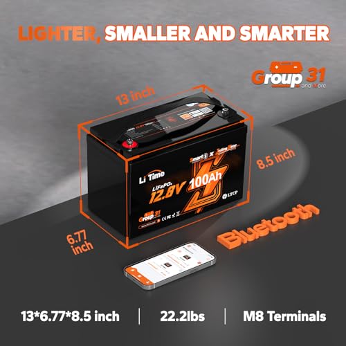 Litime (2-Pack 12V 100Ah TM Bluetooth LiFePO4 Lithium Battery, Low Temp Protection, Group 31, 100A BMS, Max 15000 Deep Cycles, Perfect for Trolling Motors, Marine, Boat, RVs,Home Energy Storage