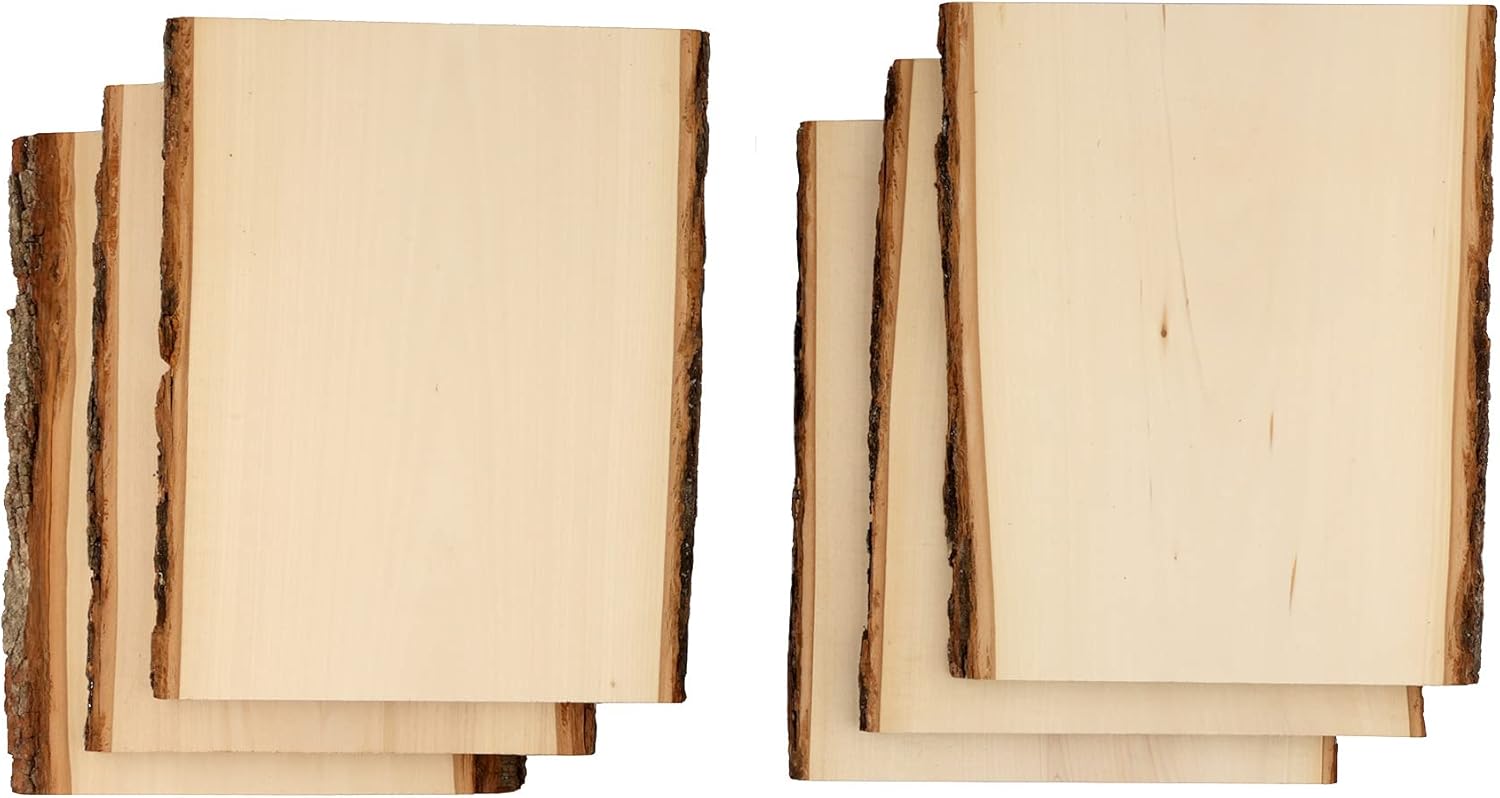 Walnut Hollow Basswood Planks & Rounds Value Pack with Live Edge Bark for Woodburning, 6-Packs