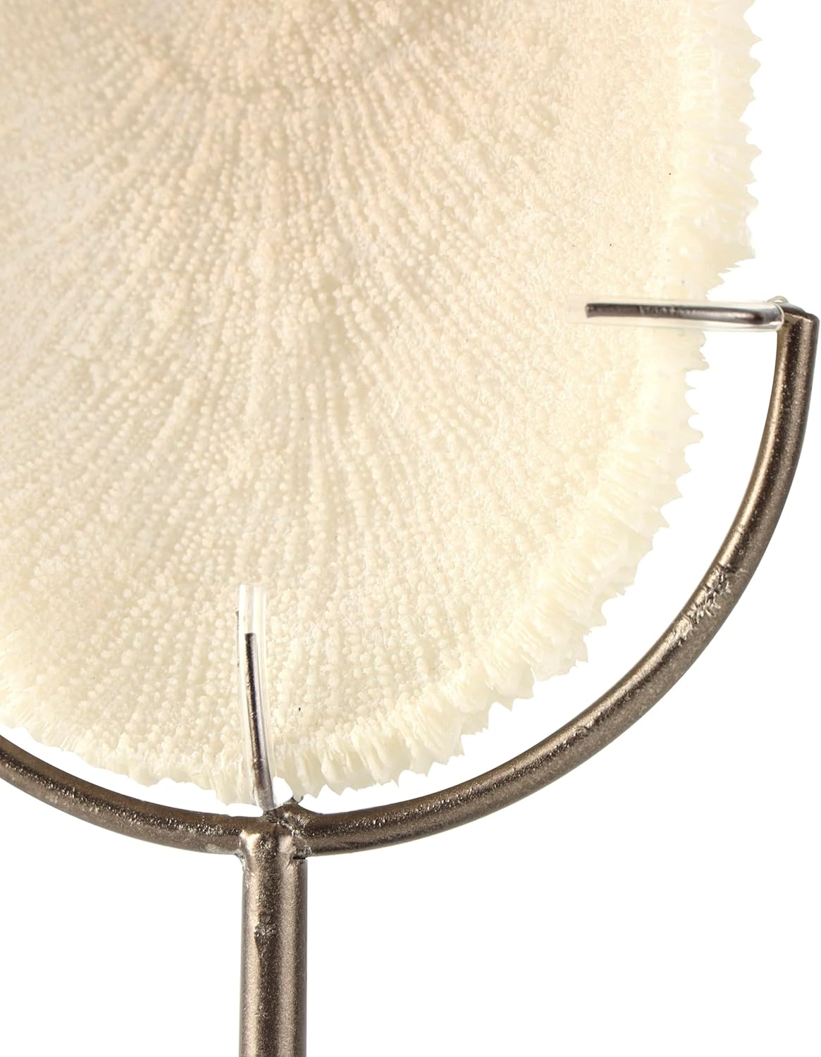 Deco 79 Polystone Coral Decorative Sculpture Abstract Textured Home Decor Statue with Gray Stand and Acrylic Base, Accent Figurine 7