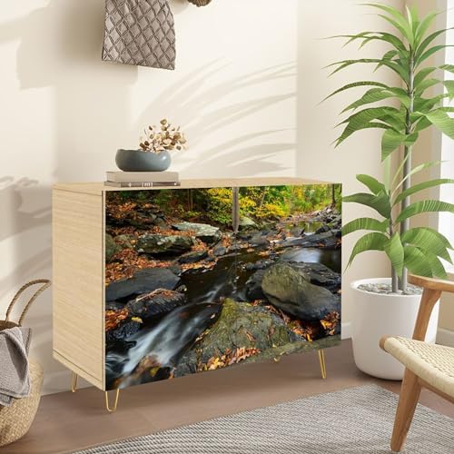 Mid Century Sideboard Buffet Kitchen Storage Cabinet with 2 Doors Petit Jean SP Cedar Falls Grotto Wide View Cupboard Console Table Bar Cabinet for Dining Room Hallway