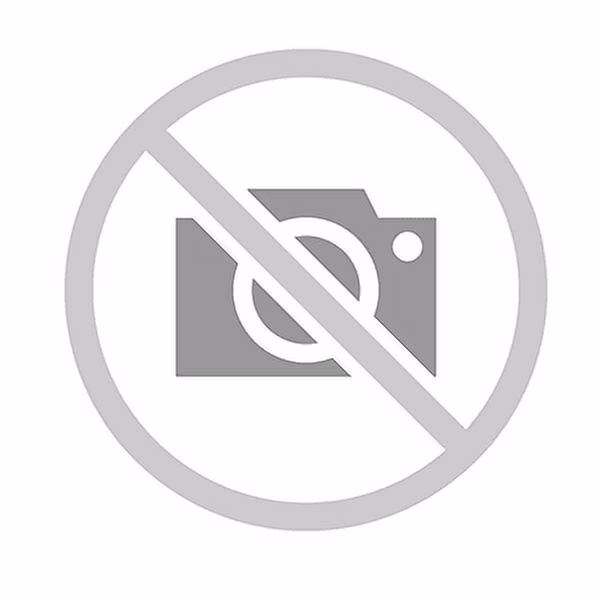 Crucial E100 480 GB Solid State Drive - M.2 2280 Internal - PCI Express NVMe [PCI Express NVMe 4.0] (ct480e100ssd8)