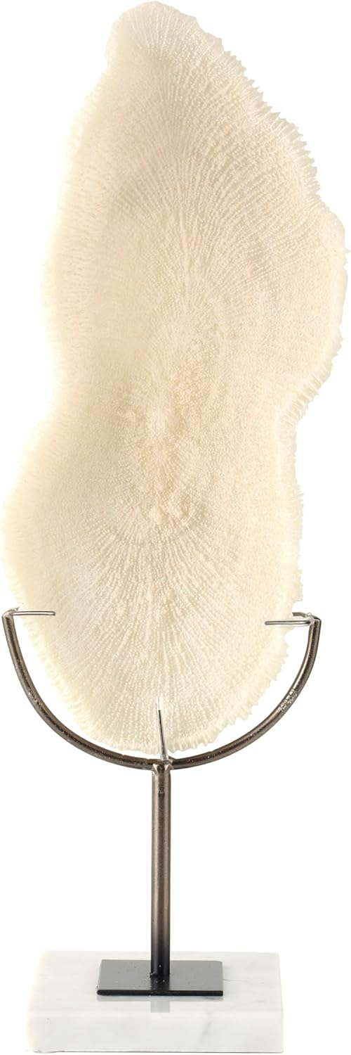 Deco 79 Polystone Coral Decorative Sculpture Abstract Textured Home Decor Statue with Gray Stand and Acrylic Base, Accent Figurine 7