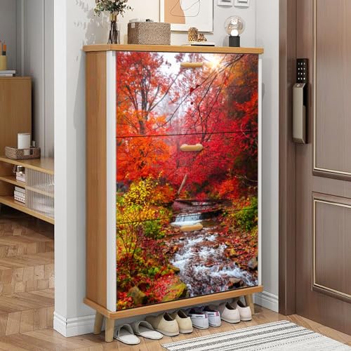 3 Drawer Shoe Cabinet, Artistic Shoe Cabinet, Birch Alley Kendlmuehlfilzen Wood Shoe Rack Organizer for Entryway Slim (31.5”W x 9.45”D 46”H)