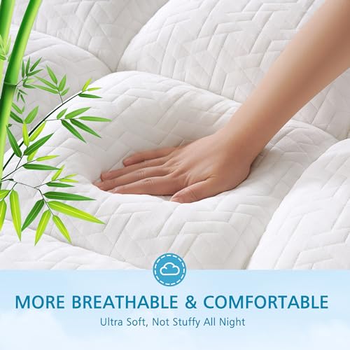 Bedluxury Memory Foam Mattress Topper Twin Size Pillowtop Quilted Mattress Pad Cover with 8-21 Inch Deep Pocket Cooling and Breathable Shredded Memory Foam Filled