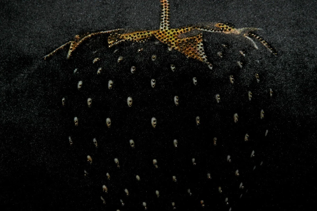 Luxus Deko Kissen Strawberry mit Bling Bling Glitzersteinen Schwarz / Gold 45 x 45 cm - Feinster Samtstoff - Luxus Deko Accessoires