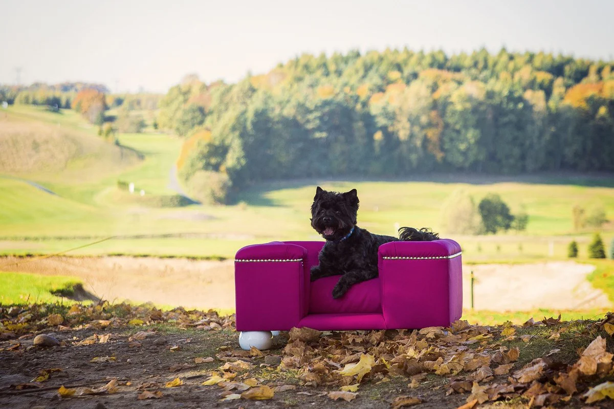 Luxus Hundebett Lila / Weiß / Lila 80 x 65 x H. 37 cm - Modernes Rechteckiges Hundebett mit Kissen - Luxus Hundemöbel - Luxus Tiermöbel