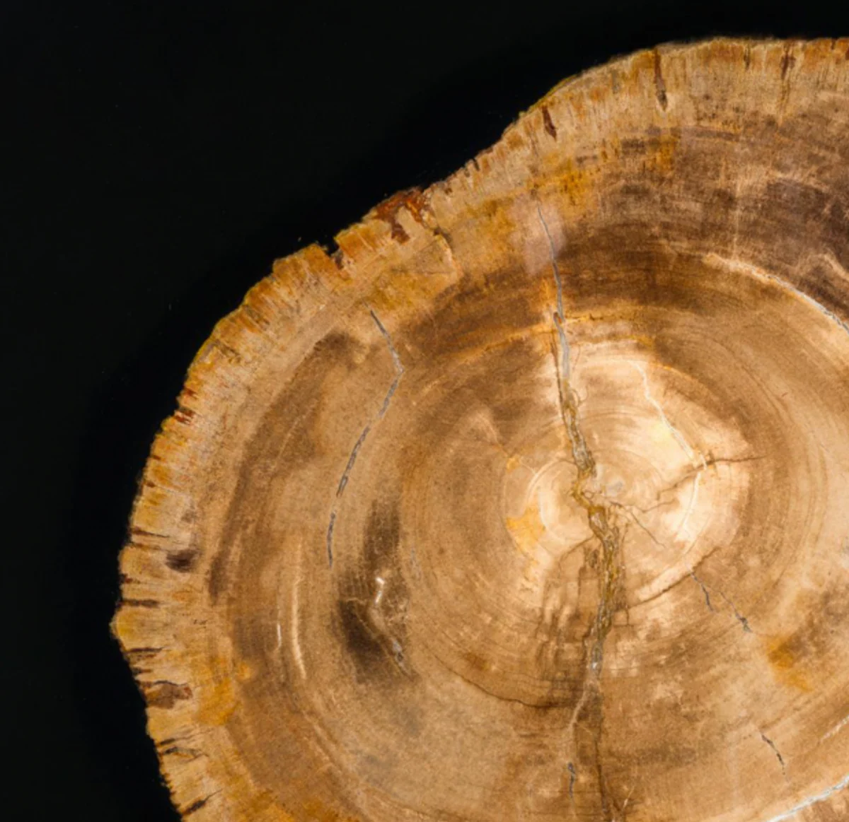 Luxus Beistelltisch Hohlstahl Nickel Finish 51 x H 56 cm - Luxus Kollektion