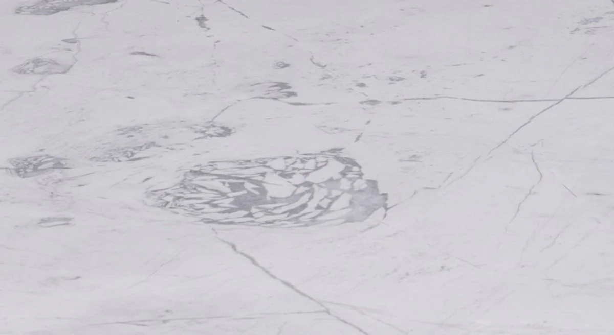 Luxus Couchtisch Schwarz / Weiß 120 x 120 x H. 35 cm - Moderner quadratischer Wohnzimmertisch mit Carrara Marmorplatte und Edelstahl Gestell - Luxus Wohnzimmer Möbel