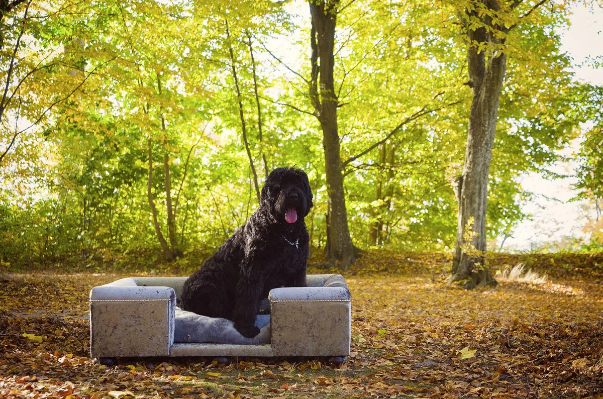 Luxus Hundebett Grau Muster / Dunkelbraun / Grau 120 x 90 x H. 37 cm - Modernes Rechteckiges Hundebett mit Kissen - Luxus Hundemöbel - Luxus Tiermöbel