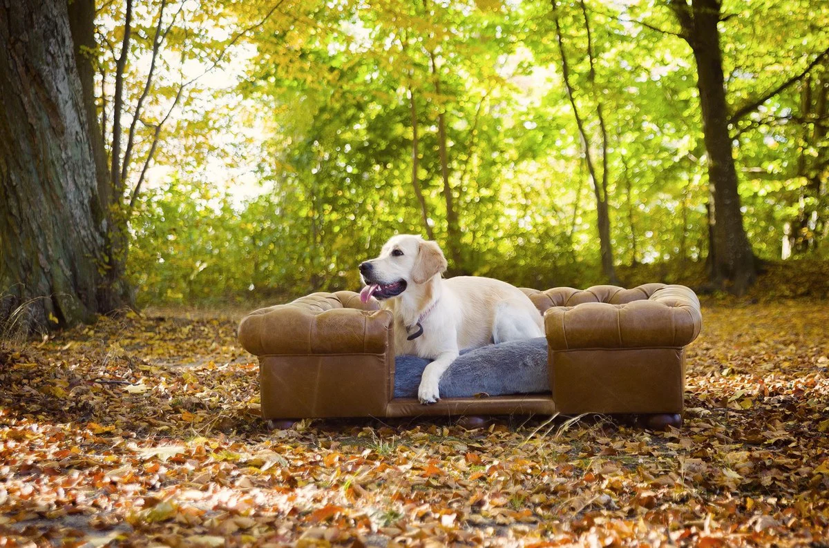 Luxus Chesterfield Leder Hundebett Vintage Braun / Dunkelbraun / Grau 134 x 104 x H. 37 cm - Rechteckiges Echtleder Hundebett - Luxus Chesterfield Leder Tiermöbel