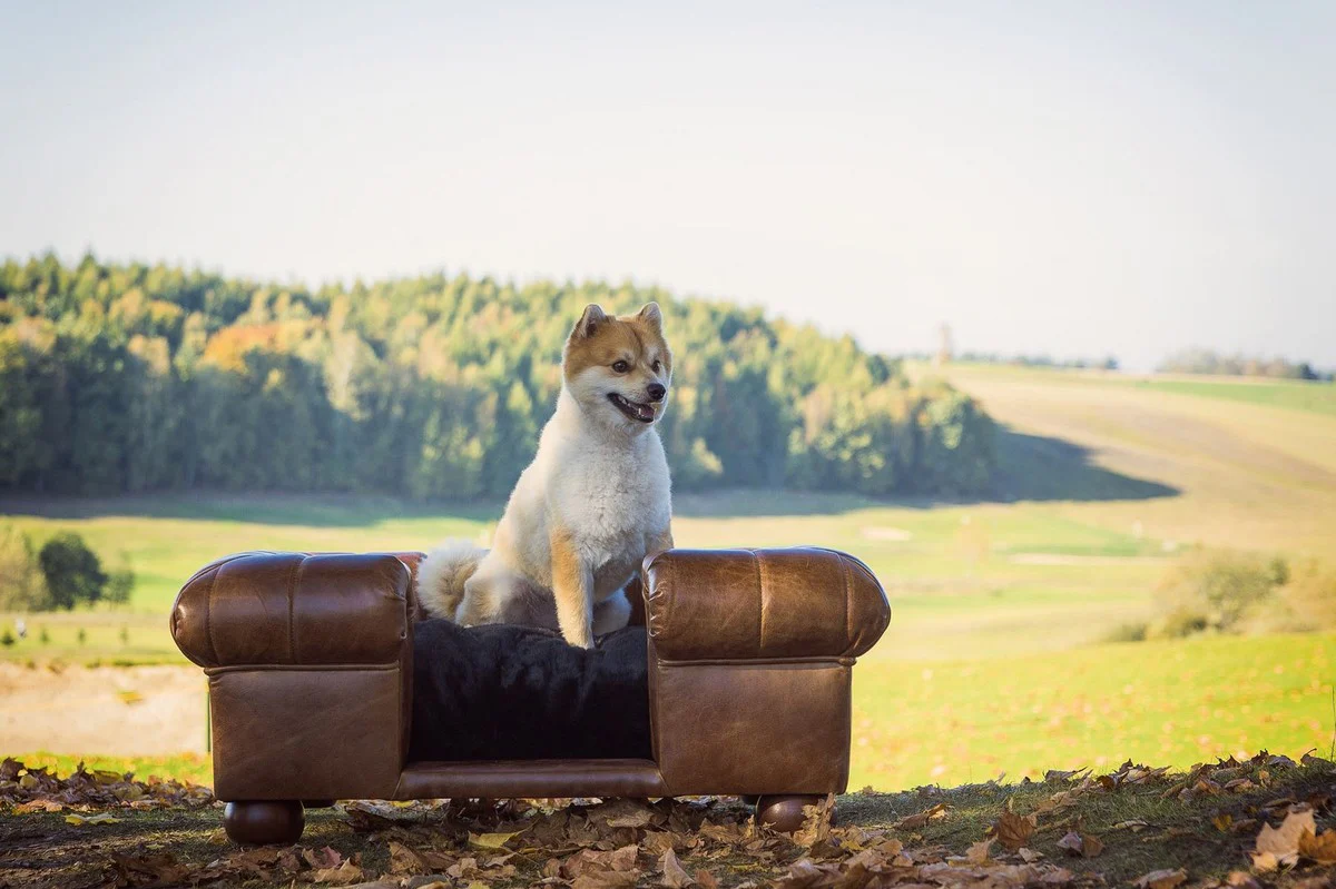 Luxus Leder Hundebett Dunkelbraun / Schwarz 109 x 89 x H. 37 cm - Rechteckiges Echtleder Hundebett - Luxus Echtleder Tiermöbel