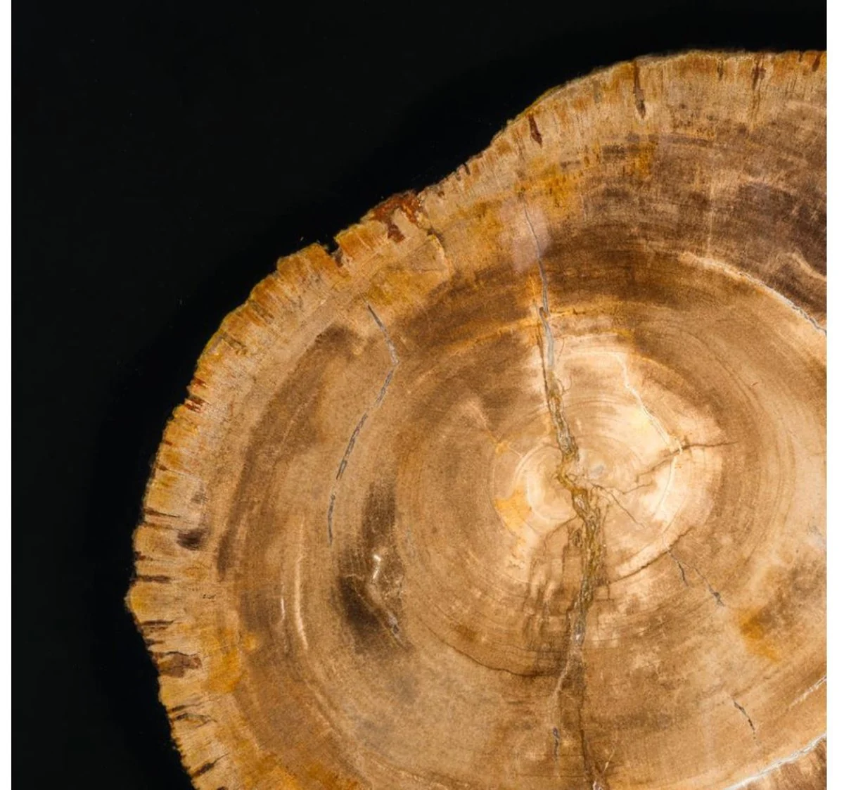 Designer Couchtisch mit eingearbeitetem versteinertem Holz - Limited Edition