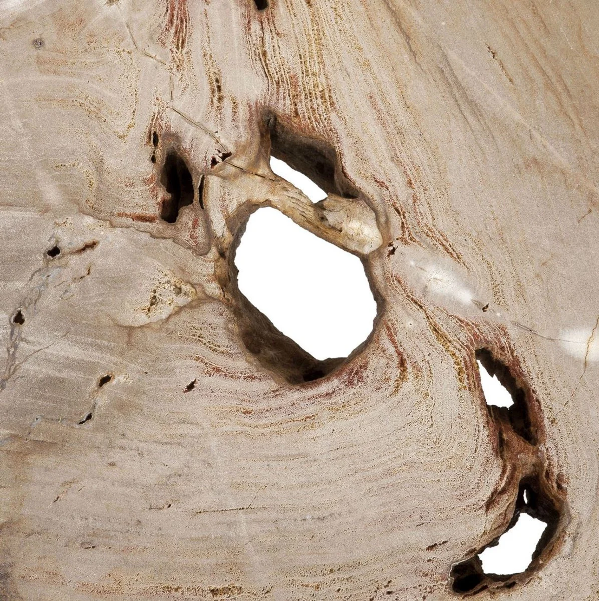 Luxus Couchtisch Naturfarben / Silber 115 x 68 x H. 35 cm - Edler Wohnzimmertisch mit versteinerter Holz Tischplatte und Edelstahl Beinen - Luxus Wohnzimmer Möbel