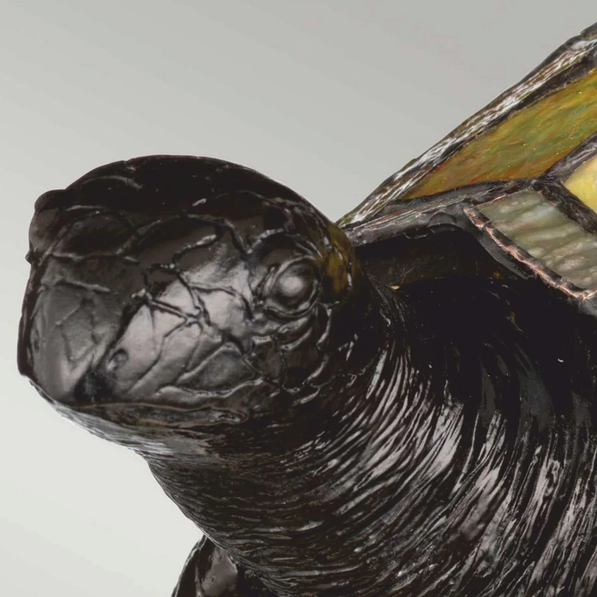 Luxus Tiffany LED Tischleuchte Schildkröte Bunt / Vintage Bronze