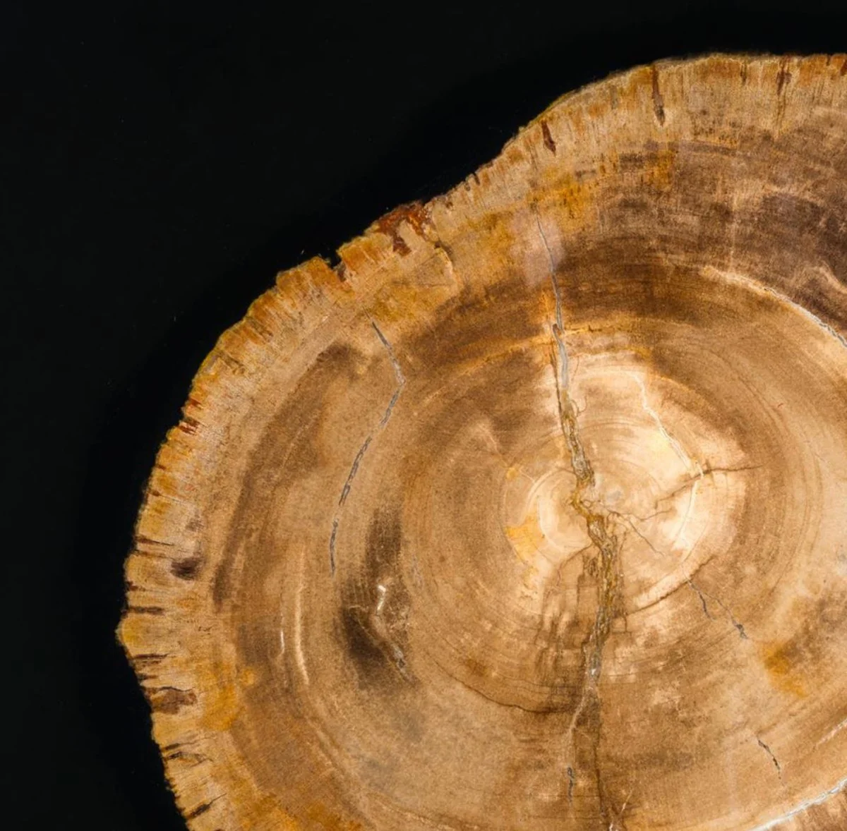 Luxus Beistelltisch 65 x 65 x H. 55 cm - Hotel Möbel