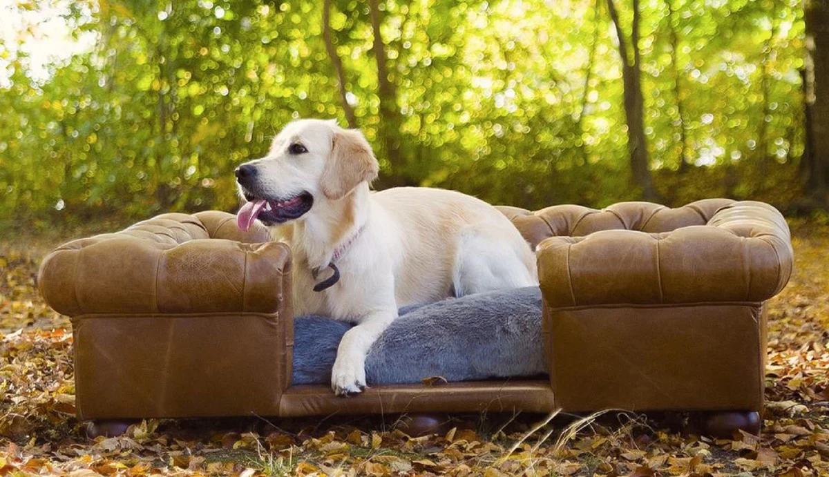 Luxus Chesterfield Leder Hundebett Vintage Braun / Dunkelbraun / Grau 134 x 104 x H. 37 cm - Rechteckiges Echtleder Hundebett - Luxus Chesterfield Leder Tiermöbel