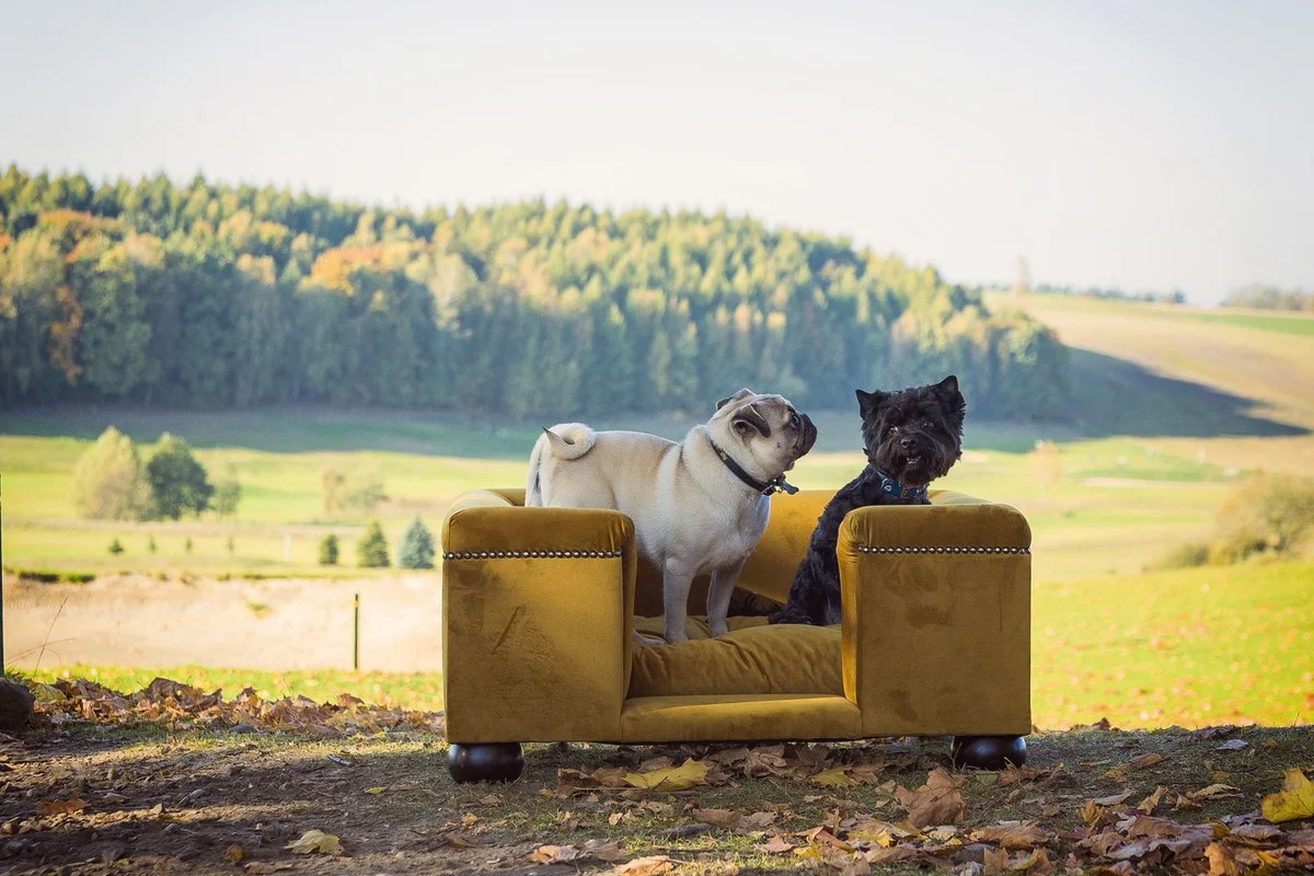 Luxus Hundebett Ocker / Dunkelbraun / Ocker 95 x 75 x H. 37 cm - Modernes Rechteckiges Hundebett mit Kissen - Luxus Hundemöbel - Luxus Tiermöbel